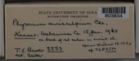 Image Associated With the Occurence